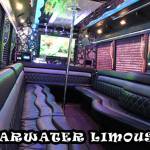 Clearwater Limousine Profile Picture