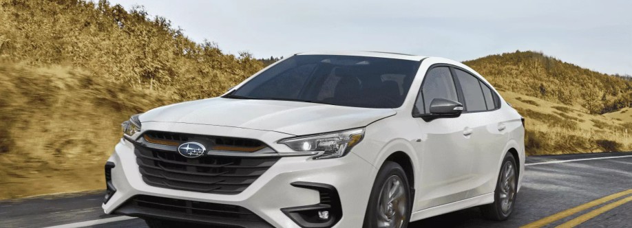 United Saluda Cover Image