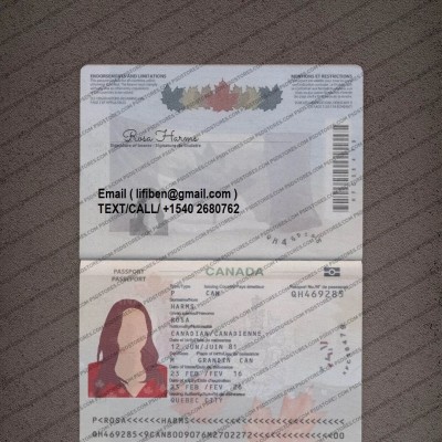 Passport I Profile Picture
