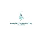 Hornsby Chiropractor Dr Andy Lee Profile Picture