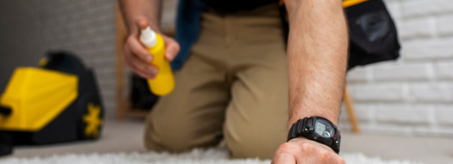 Kings of Steam Cover Image