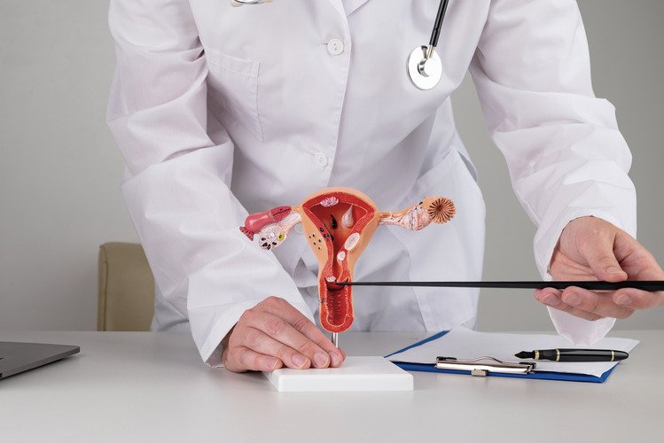 The Role of Hysteroscopic Polypectomy in Gynecological Surgery -