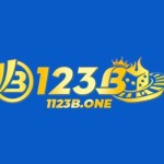 1123b one Profile Picture