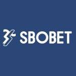 sbobetooo0 Profile Picture