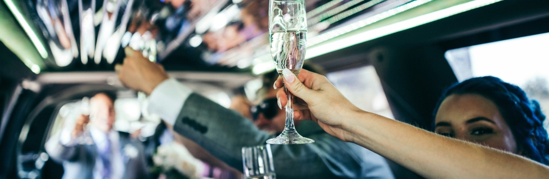 St Petersburg Limousine Cover Image