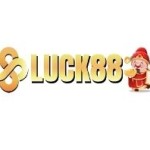 Nhà Cái Luck8 Profile Picture