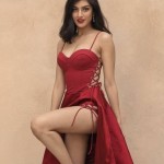 Nandita Suri Profile Picture