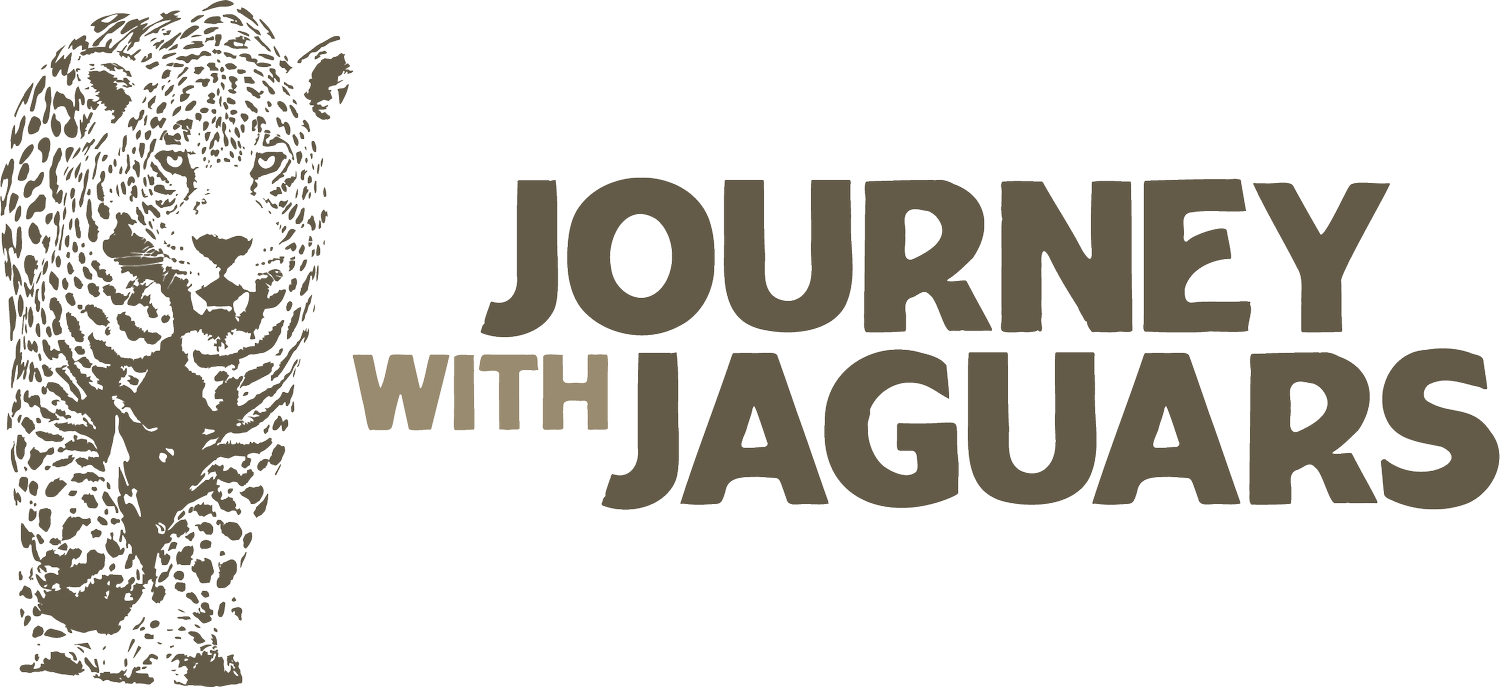 Journey With Jaguars |  Pantanal Jaguar Safari Tours