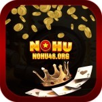 nohu46org Profile Picture
