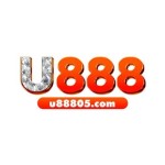 u88805com Profile Picture