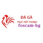 Đá Gà Trực Tiếp Thomo Hôm Nay Profile Picture