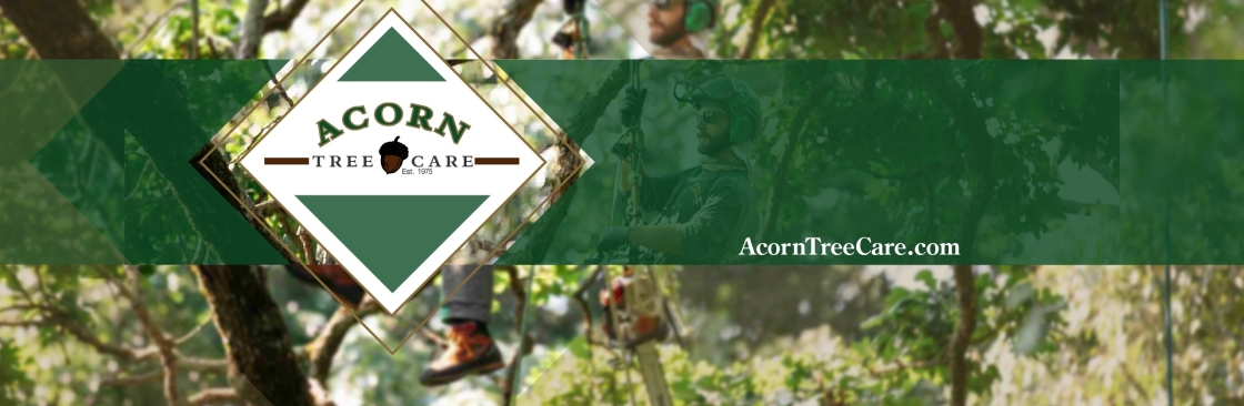 Acorn Tree Care Cover Image