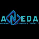 Aneda Digital Marketing Profile Picture