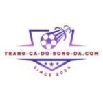 Trang Cá Độ Bóng Đá Com Profile Picture