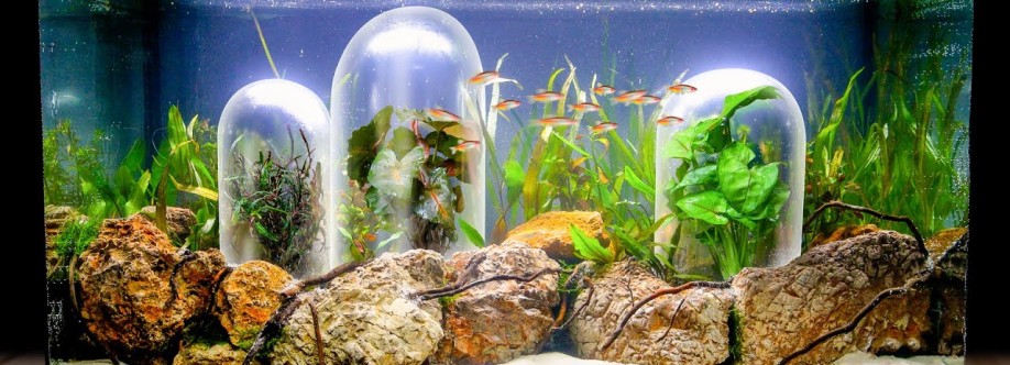 LE Corals Cover Image