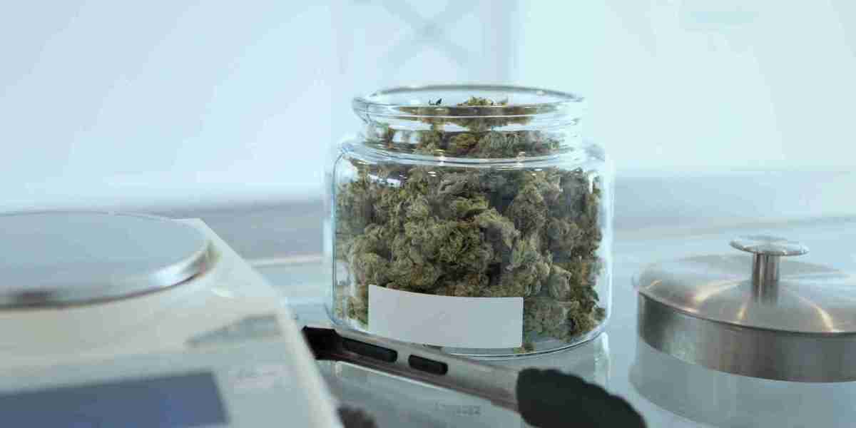 How Budtender Training Drives Sales Performance