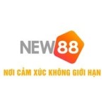 New88 Profile Picture