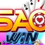 SAOWIN Profile Picture