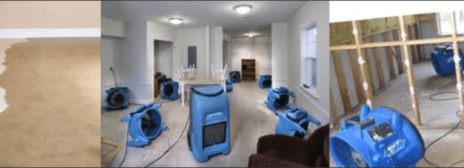 Capital Cleaning Cover Image