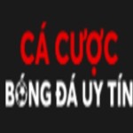 Esport Wine Top 10 Trang Cá Cược Thể Thao Điện Tử U Profile Picture