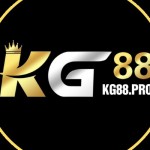 kg88fun Profile Picture