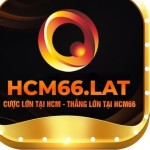 Hcm66 Lat Profile Picture