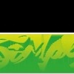 Simmply Auto Spa Profile Picture