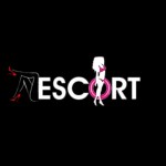 Escort Service Hub Chandigarh Profile Picture