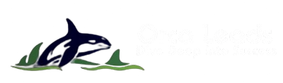 Orca Leads – Dive Deep into Success with OrcaLeads