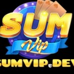 sumvipdev1 Profile Picture
