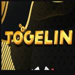 TOGELIN Profile Picture