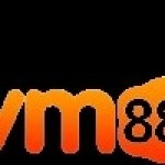 VM88 Profile Picture