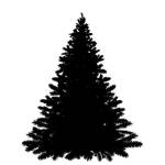 Pine Tree SVG Profile Picture