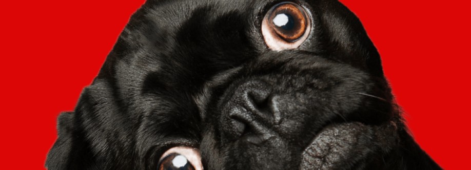 allearsdigital Cover Image