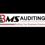 bms_auditing Profile Picture