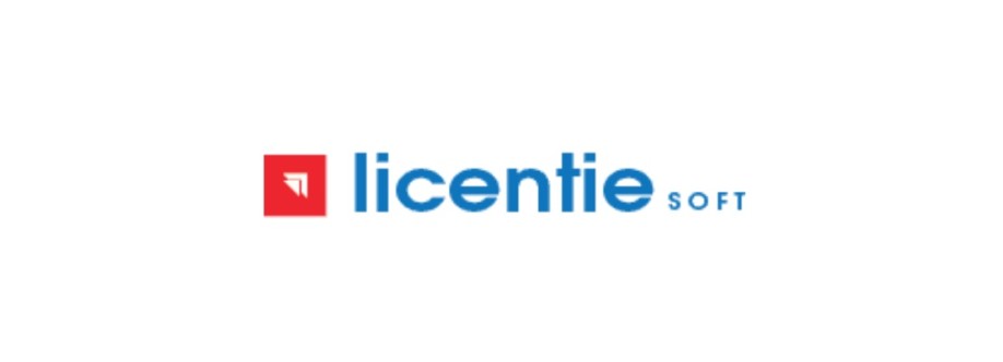 Licentie Soft Cover Image