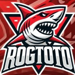 ROGTOTO 4d Profile Picture