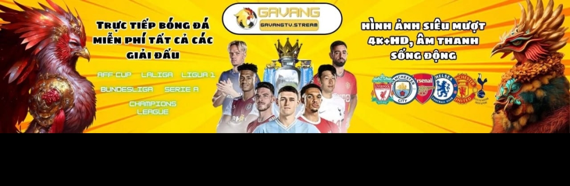 Gavang TV Cover Image