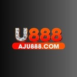 Aju888 Com Profile Picture