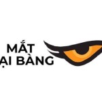 Mắt Đại Bàng Profile Picture