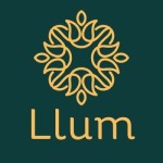 llumdiffusers Profile Picture