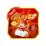 Nhà Cái Hay88 Profile Picture