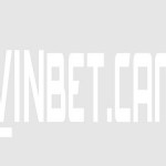 VINBET Profile Picture