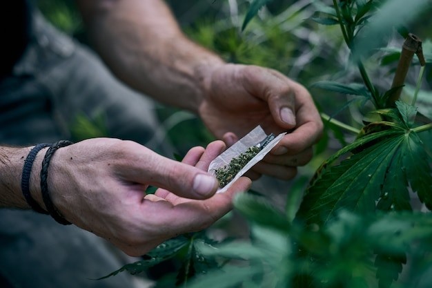 Ottawa’s Top Weed Dispensary – Premium Cannabis Hub
