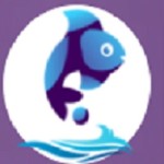 Digital Marketing Company In Mumbai by Fish Eye Advertising Profile Picture