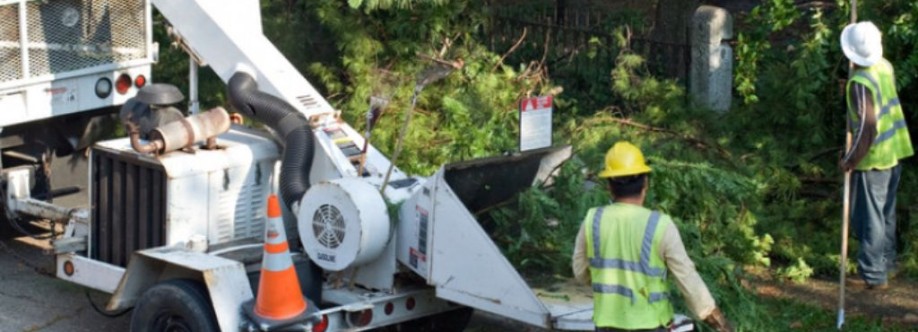 Mike s Outdoor Maintenance Tree Removal Cover Image