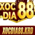 Xocdia88 Profile Picture