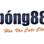 bong88 estate Profile Picture