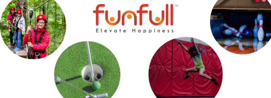 Funfull Inc Cover Image