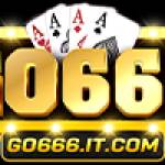go666 it com Profile Picture